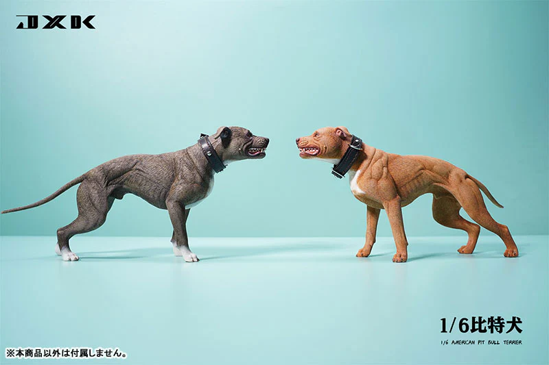 1/6 American Pit Bull Terrier A - Image 4