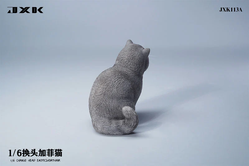 1/6 Change Head Exotic Short Hair A - Image 5