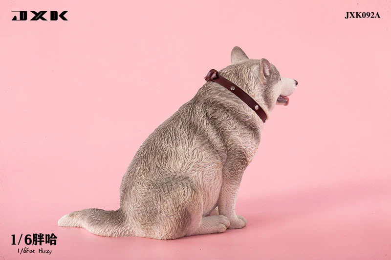 1/6 Chubby Husky A - Image 4
