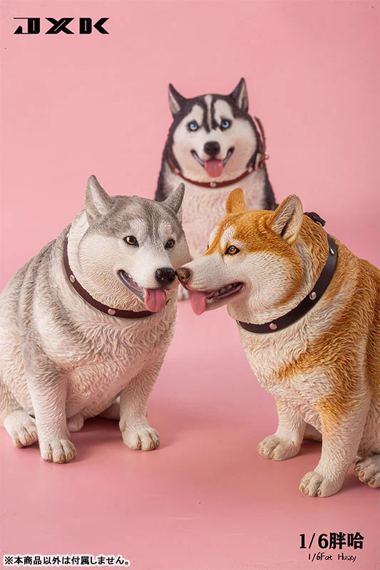 1/6 Chubby Husky B - Image 3