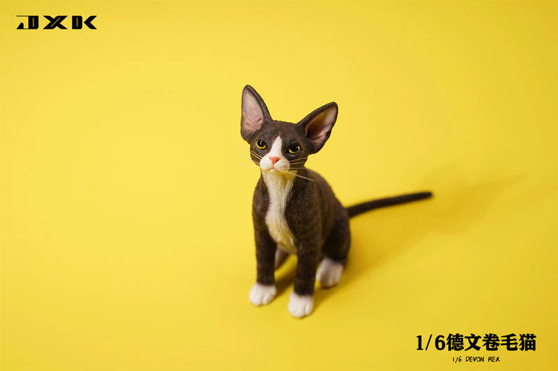 1/6 Devon Rex A2 - Image 3