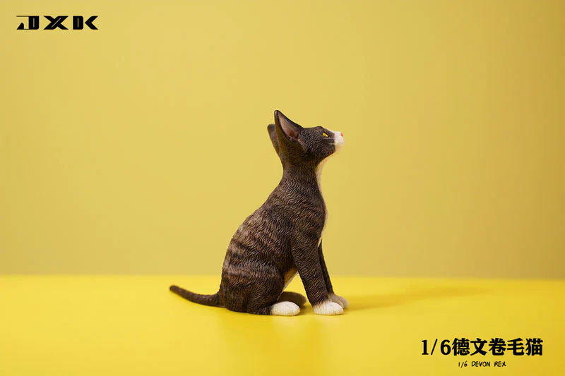 1/6 Devon Rex A2 - Image 4