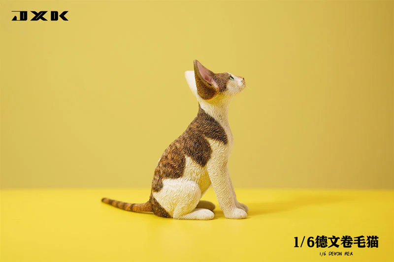 1/6 Devon Rex A3 - Image 2