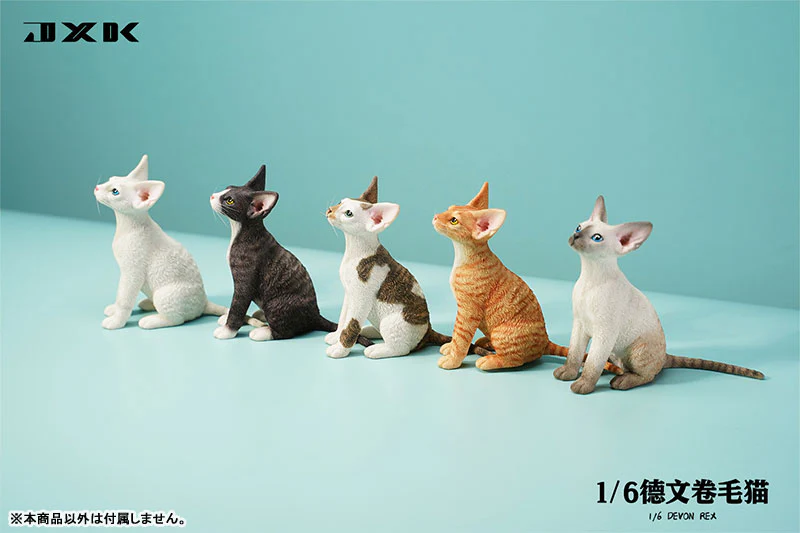 1/6 Devon Rex A4 - Image 3