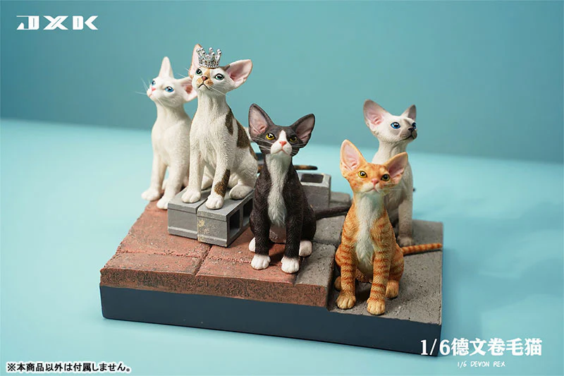 1/6 Devon Rex B3 - Image 4