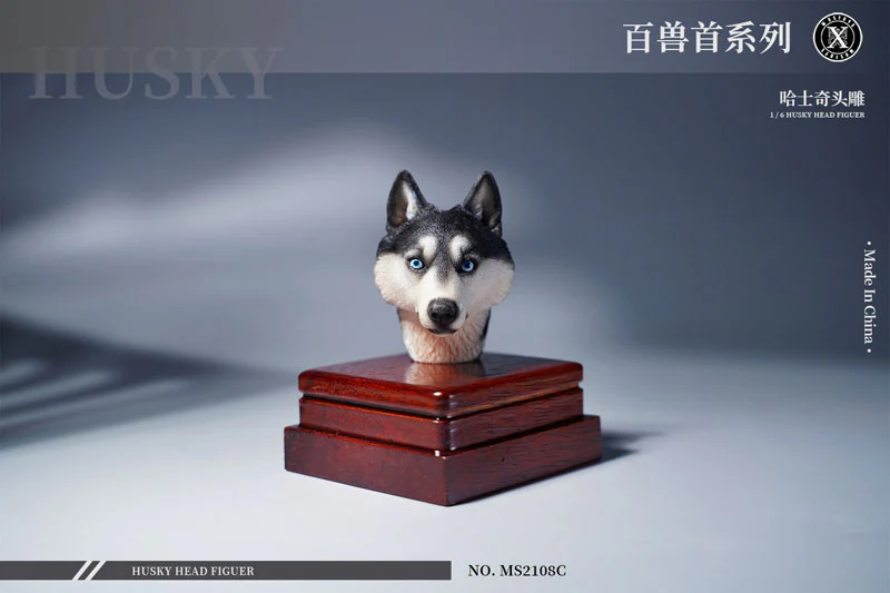 1/6 Head Husky C - Image 4