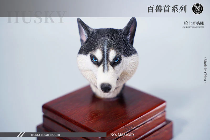 1/6 Head Husky D - Image 4