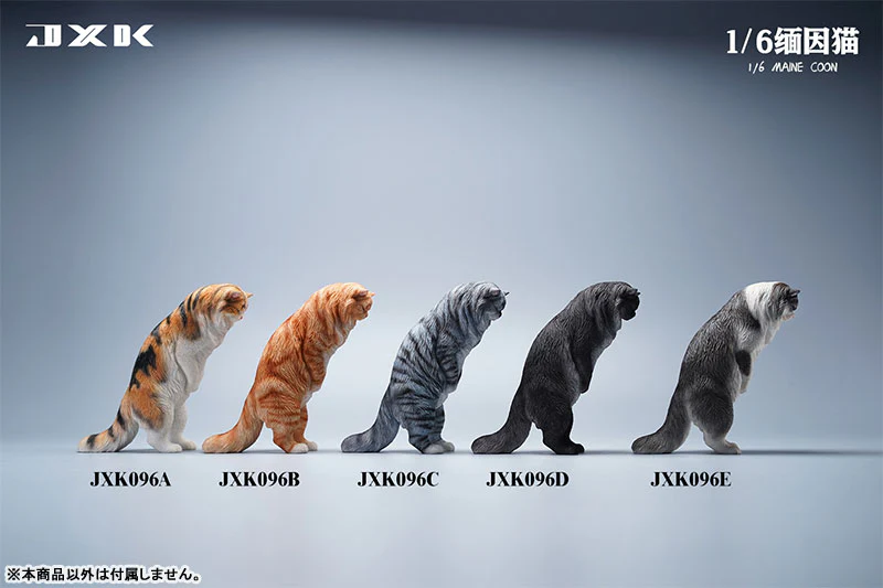 1/6 Maine Coon A - Image 2