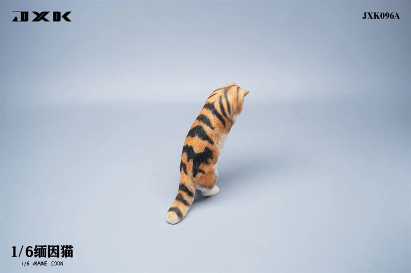 1/6 Maine Coon A - Image 3