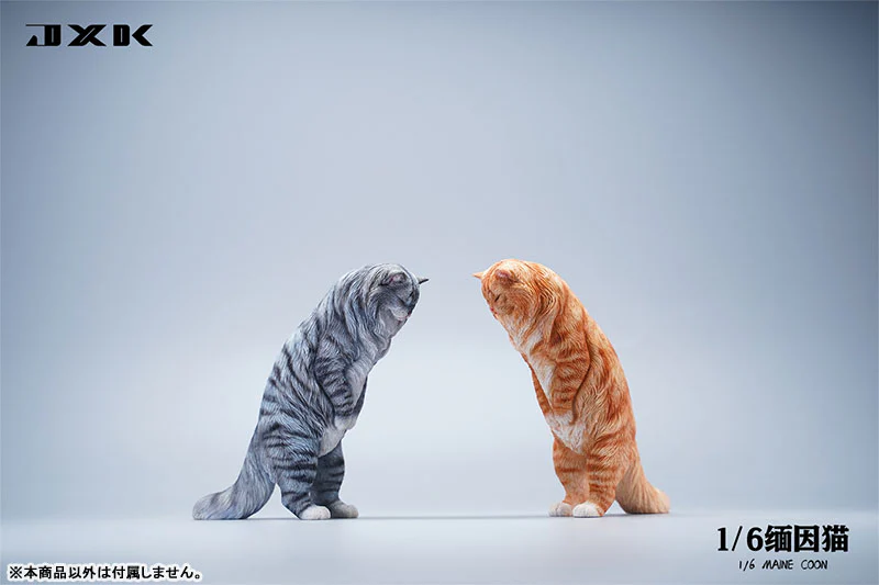 1/6 Maine Coon B - Image 2