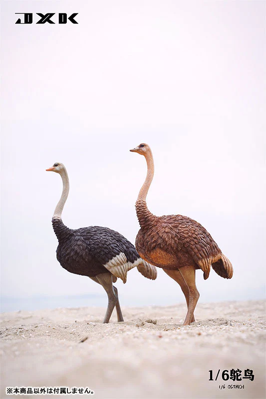 1/6 Ostrich B1 - Image 3