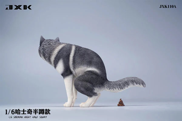 1/6 Siberian Husky Half Squat A - Image 2
