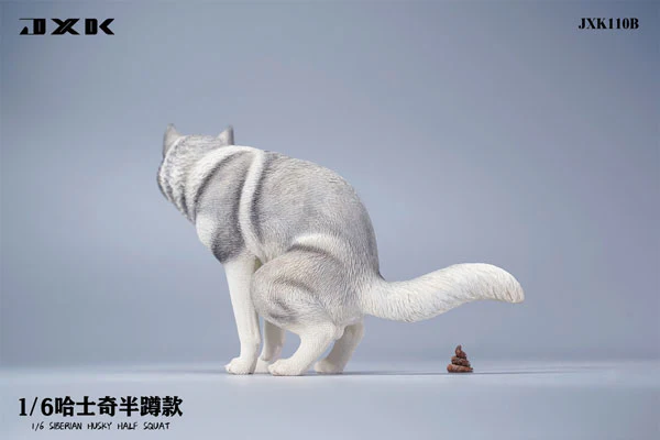 1/6 Siberian Husky Half Squat B - Image 3