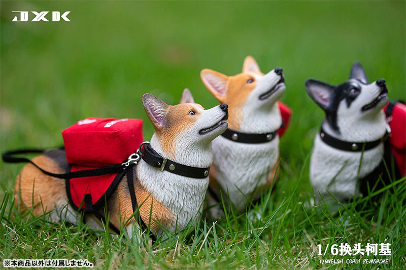 1/6 Welsh Corgi Pembroke A - Image 9
