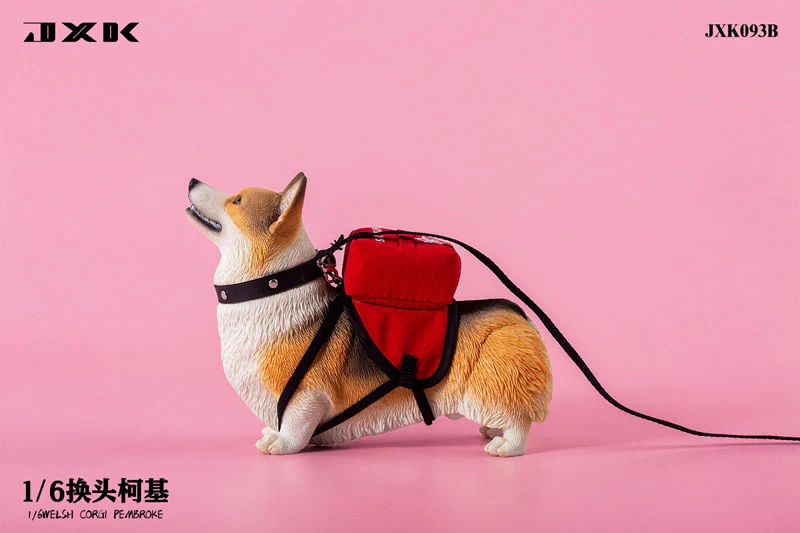 1/6 Welsh Corgi Pembroke B - Image 4