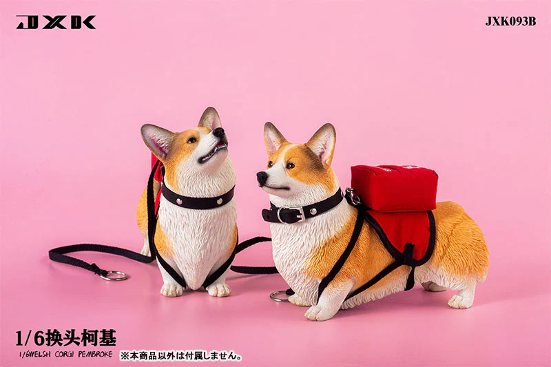 1/6 Welsh Corgi Pembroke B - Image 7