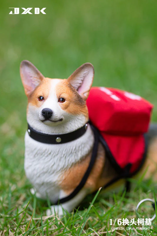 1/6 Welsh Corgi Pembroke B - Image 9
