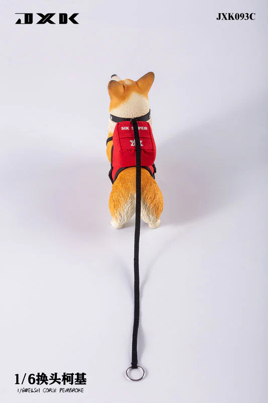 1/6 Welsh Corgi Pembroke C - Image 4