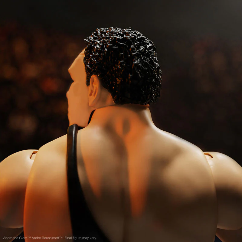 Andre the Giant Ultimate 8 Inch Action Figure ver.3 - Image 4