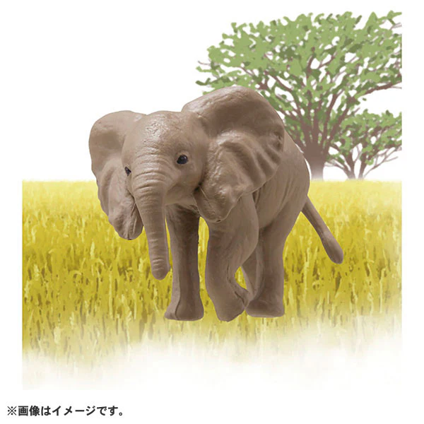 Ania AC-02 Elephant (Child) - Image 3