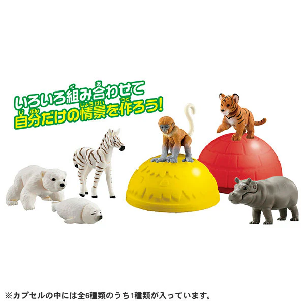 Ania Gacha and Korokoro Capsule 2 12Pack BOX - Image 7