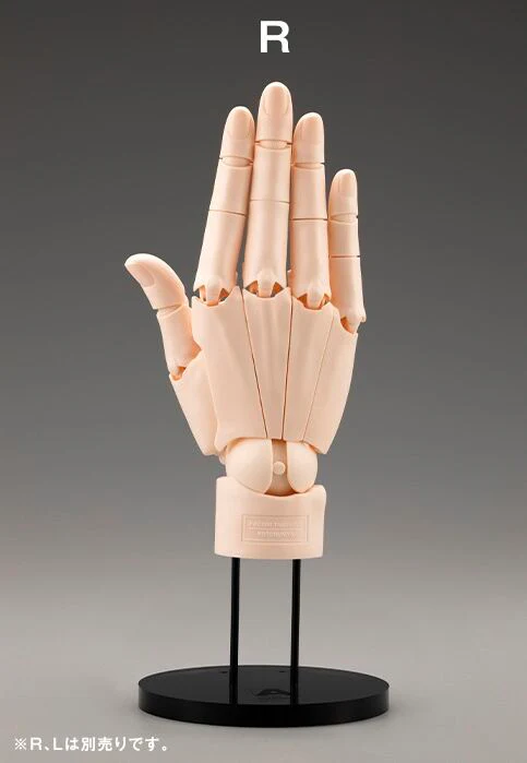 Artist Support Item - Hand Model - 1/1 - R Pale Orange (Kotobukiya) - Image 2