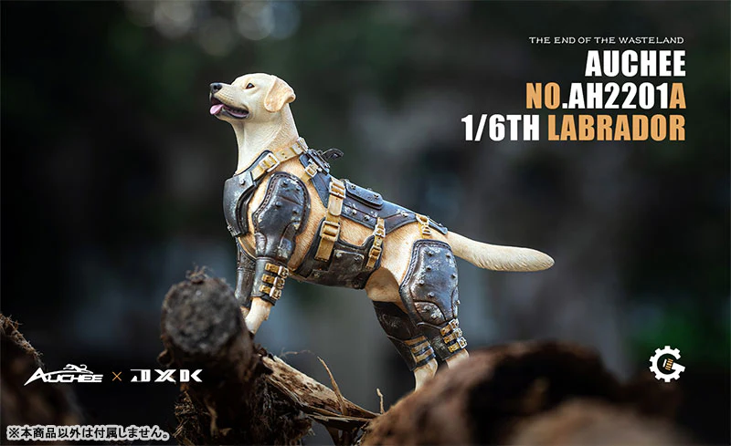 Auchee x JXK Studio 1/6 Labrador A - Image 12