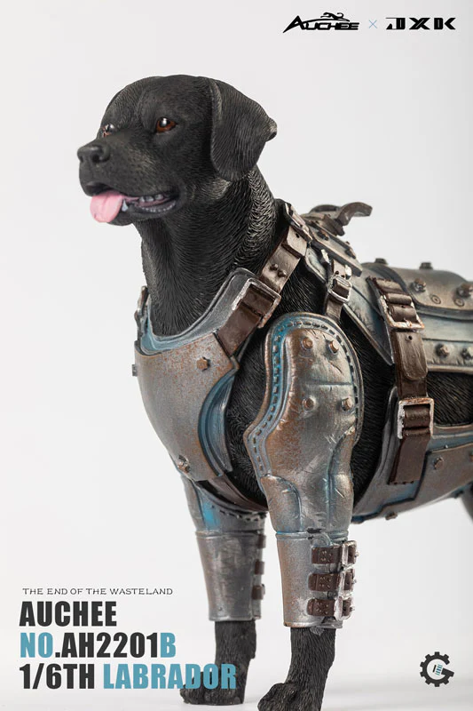 Auchee x JXK Studio 1/6 Labrador B - Image 9