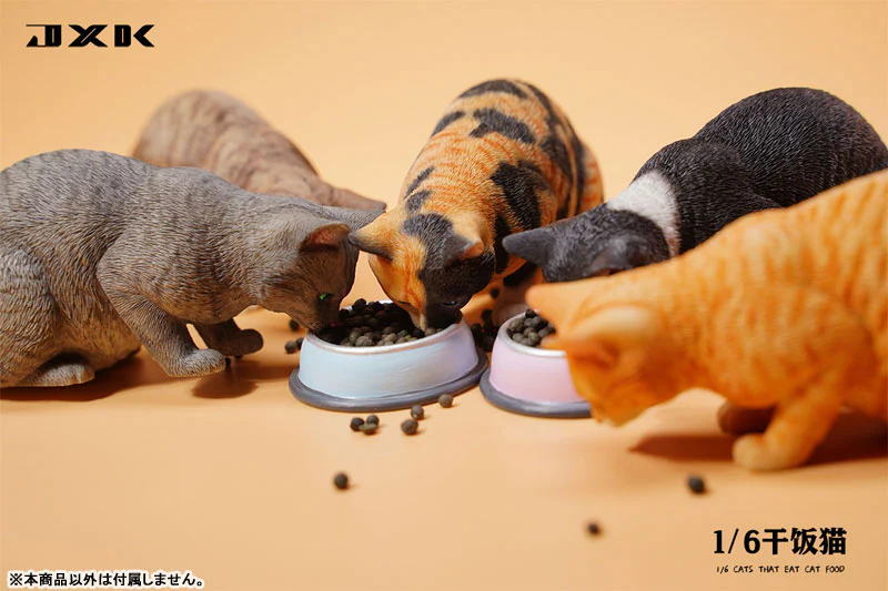 Cat Having a Dinner B4 - Image 5