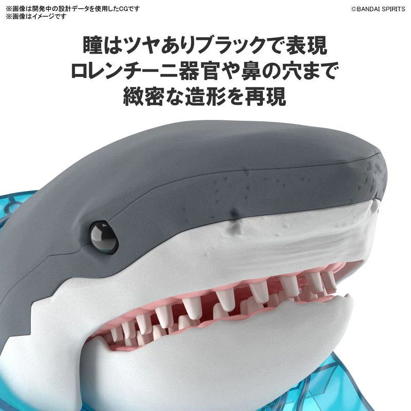 Exploring Lab Nature Great White Shark Plastic Model - Image 2