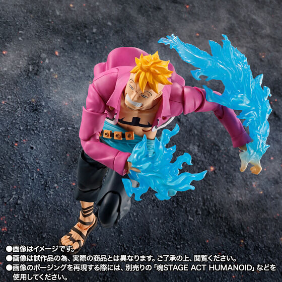 One Piece - Marco - S.H.Figuarts - Marineford (Bandai Spirits) [Shop Exclusive] - Image 3