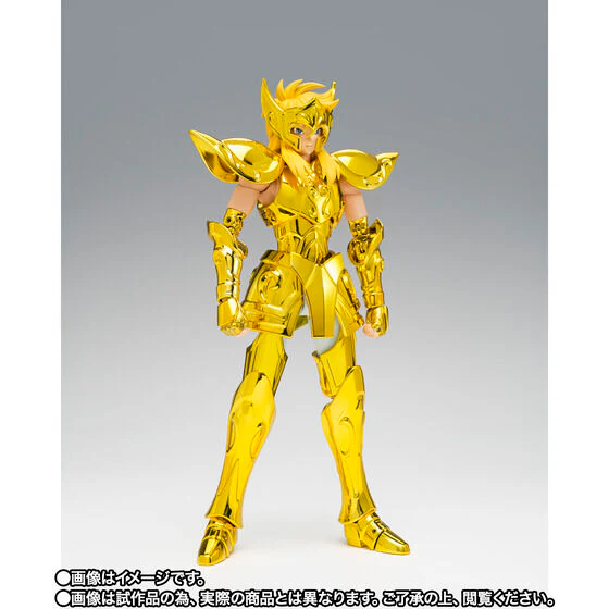 Saint Seiya - Aquarius Hyoga - Myth Cloth EX - Inheritor of the Gold Cloth (Bandai Spirits) [Shop Exclusive] - Image 3