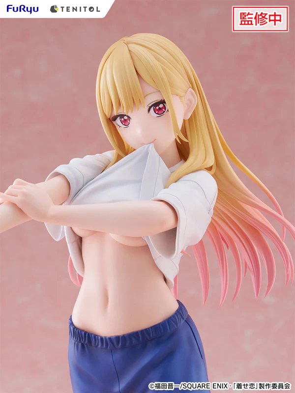 Sono Bisque Doll wa Koi o Suru - Kitagawa Marin - Tenitol - Tenitol Tall - Gojo Wakana's P.E. Uniform ver. (FuRyu) - Image 8